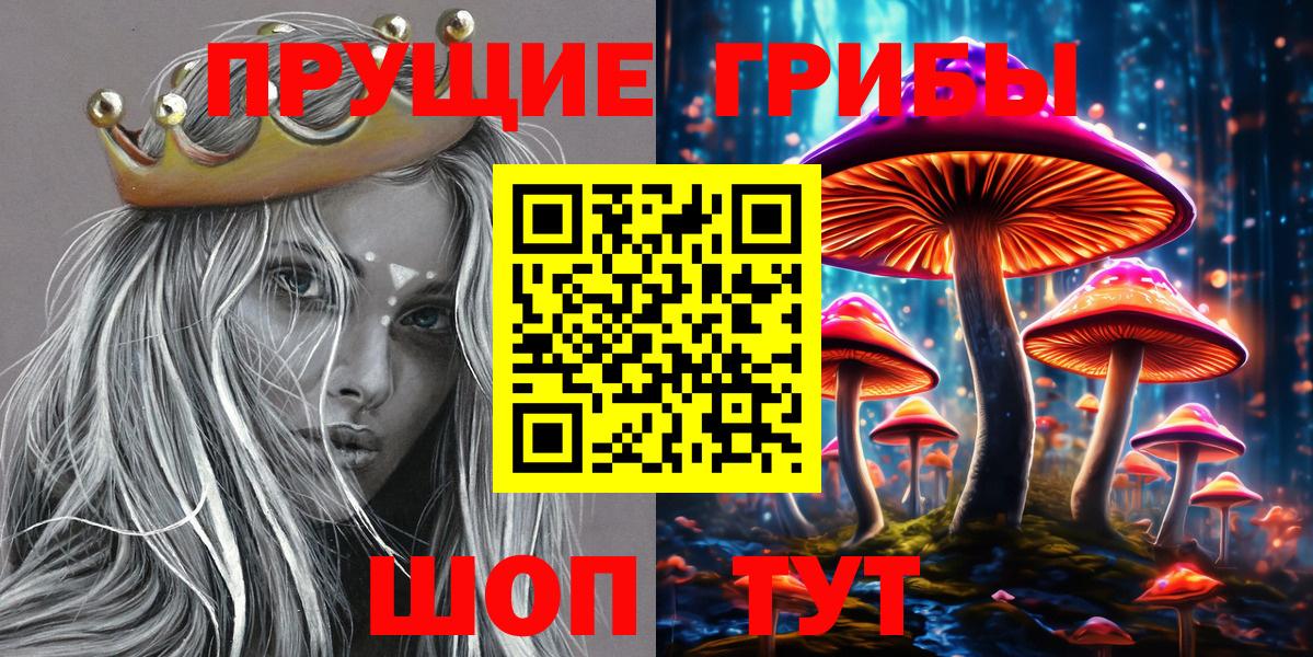 Волгоград  Галлюциногенные грибы мицелий  Вход с VPN  Псилоцибиновые грибы GOLDEN TEACHER 